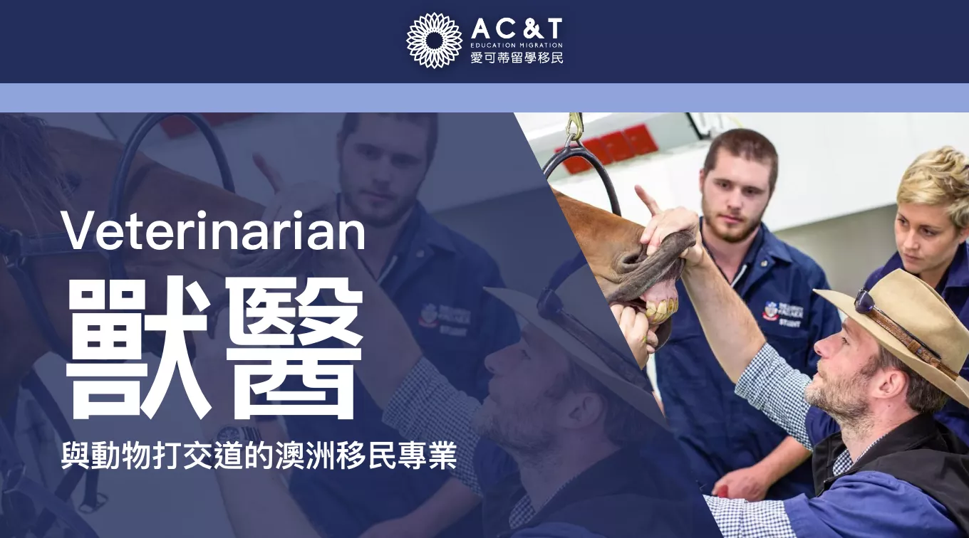 【獸醫】喜歡動物的你不可錯過的專業！與動物「打交道」的獸醫科學！